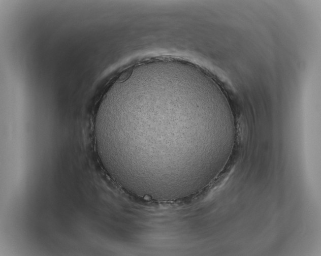 X0000111831494200908061145