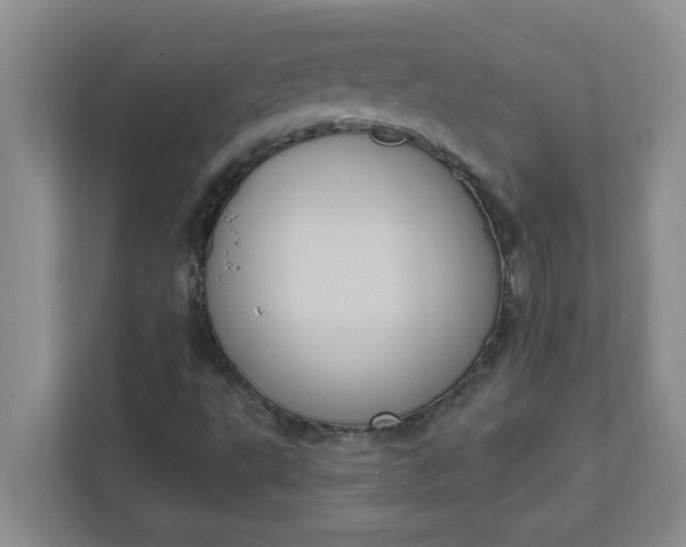 X0000111831495200908061145