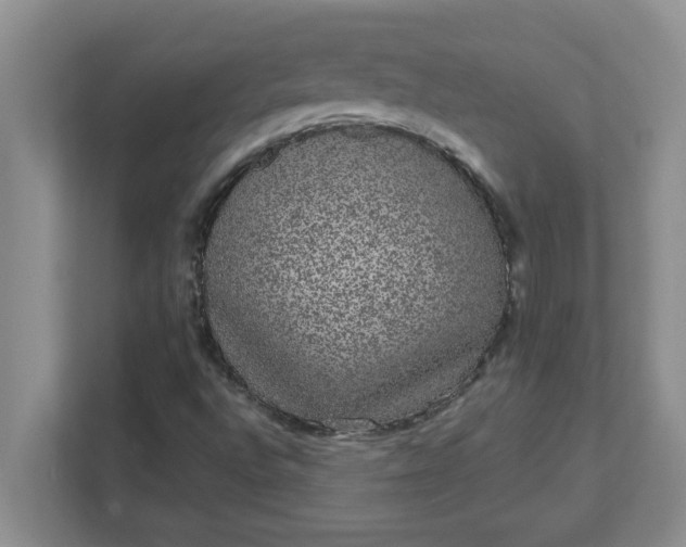 X0000111831496200908061145