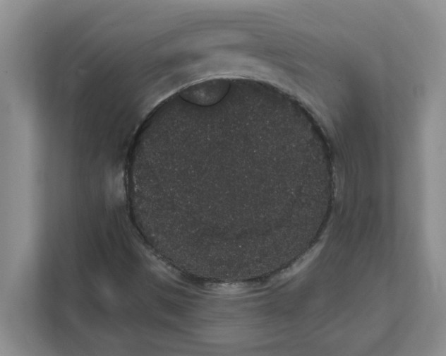 X0000111831497200908061145