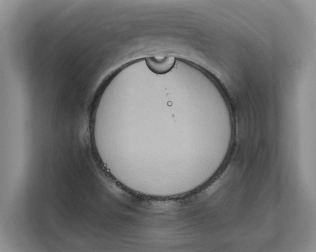 X0000111831498200908061145