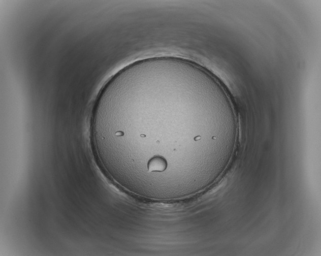 X0000111831500200908061145