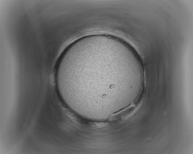 X0000111831501200908061145