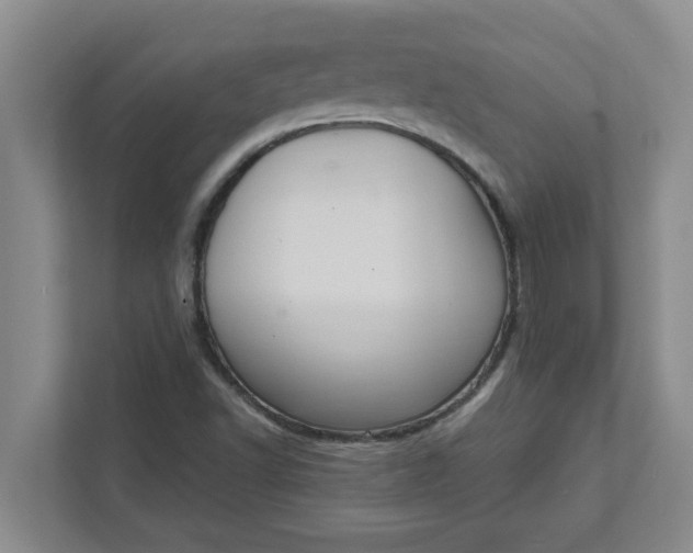 X0000111831502200908061145