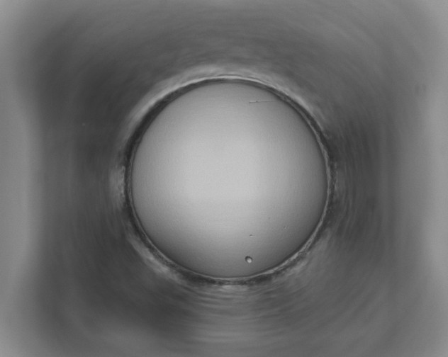 X0000111831503200908061145