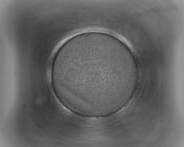 X0000111831504200908061145