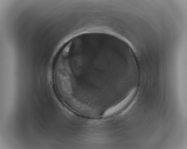 X0000111831506200908061145