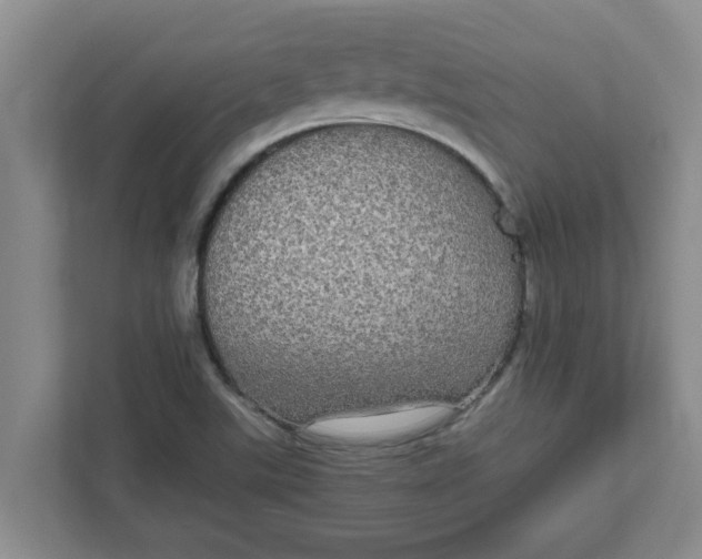 X0000111831507200908061145