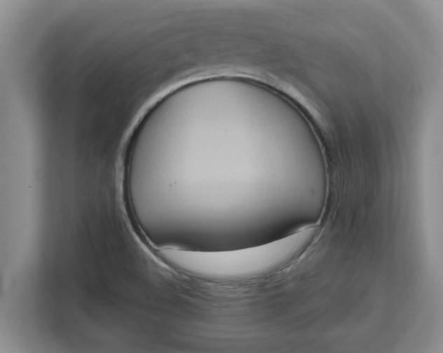 X0000111831508200908061145