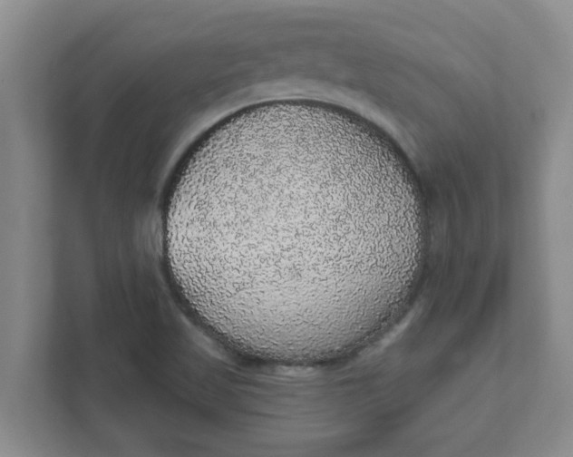 X0000111831509200908061145