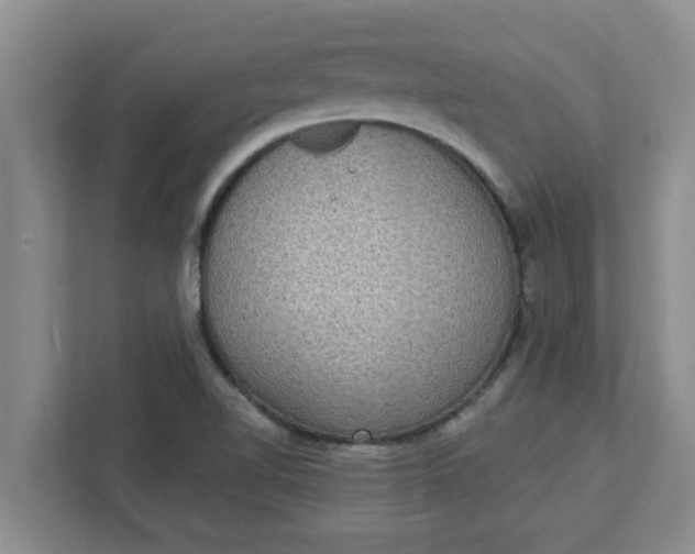 X0000111831510200908061145