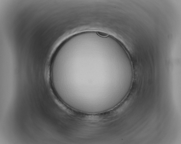 X0000111831511200908061145
