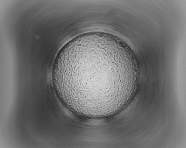 X0000111831513200908061145