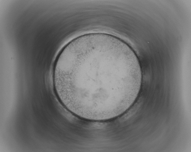 X0000111831514200908061145