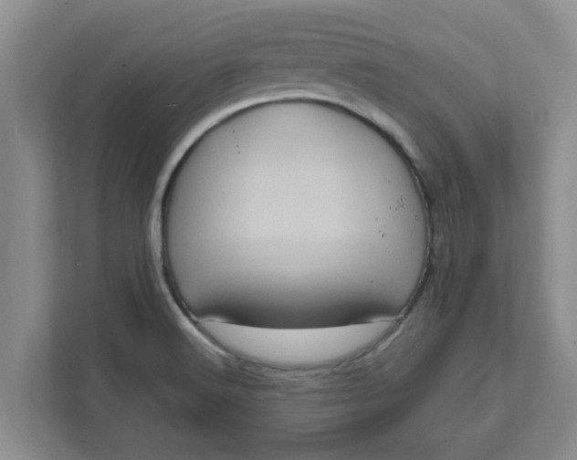 X0000111831516200908061145