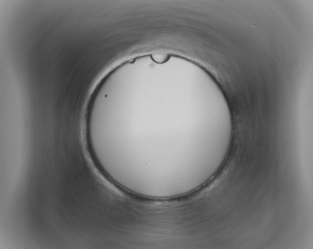 X0000111831518200908061145