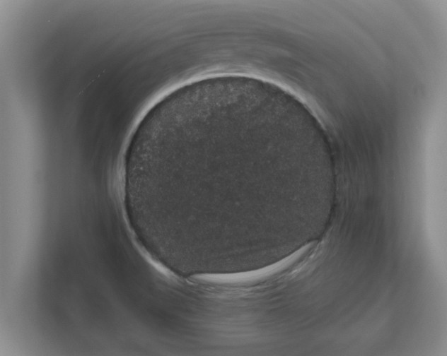 X0000111831519200908061145