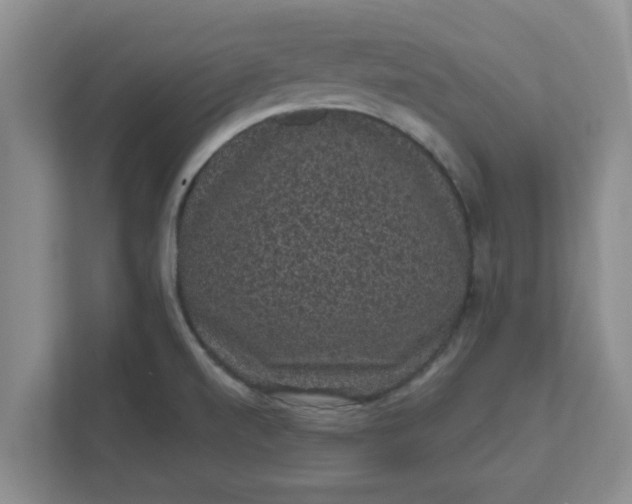 X0000111831520200908061145