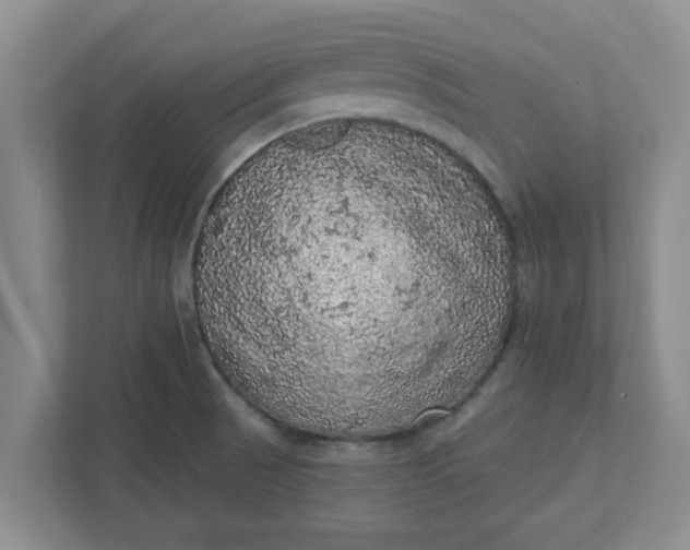 X0000111831521200908061145