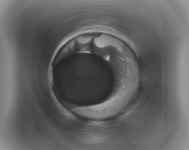 X0000111831522200908061145