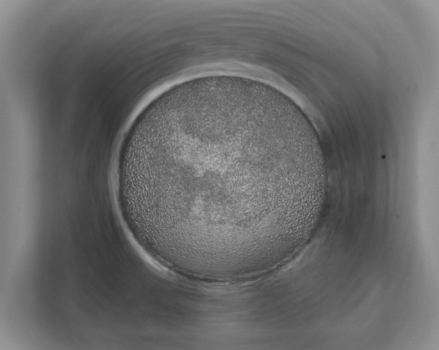 X0000111831523200908061145