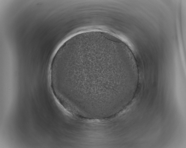 X0000111831524200908061145