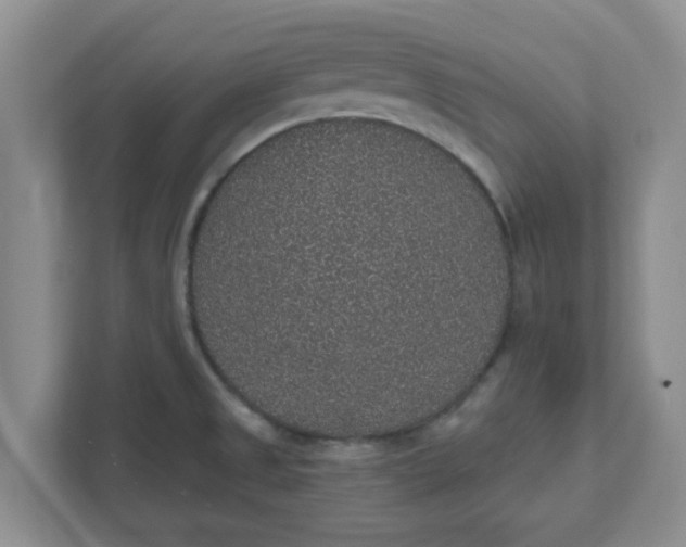 X0000111831525200908061145