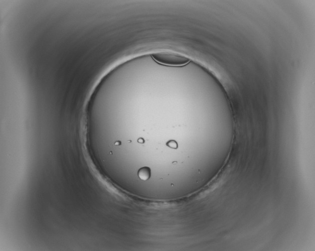 X0000111831526200908061145