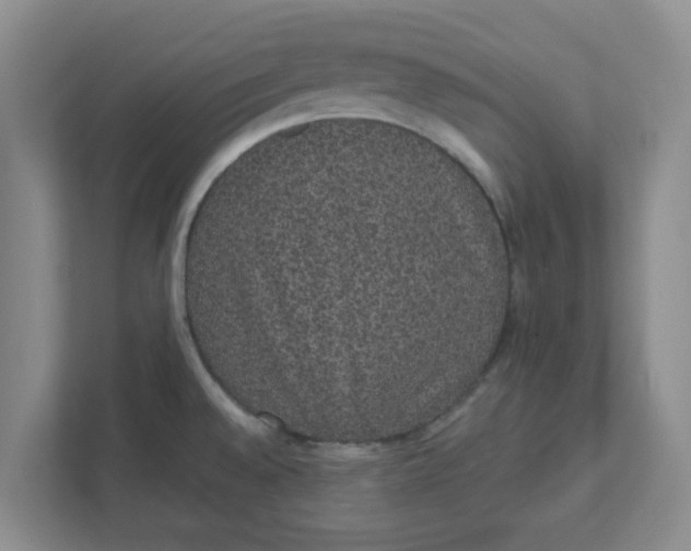 X0000111831528200908061145