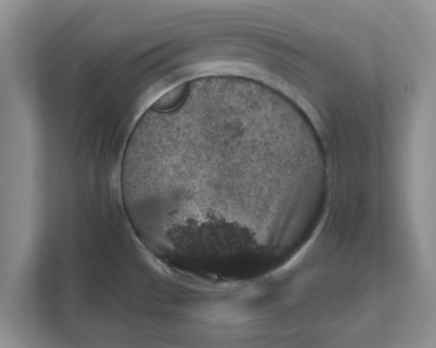 X0000111831529200908061145