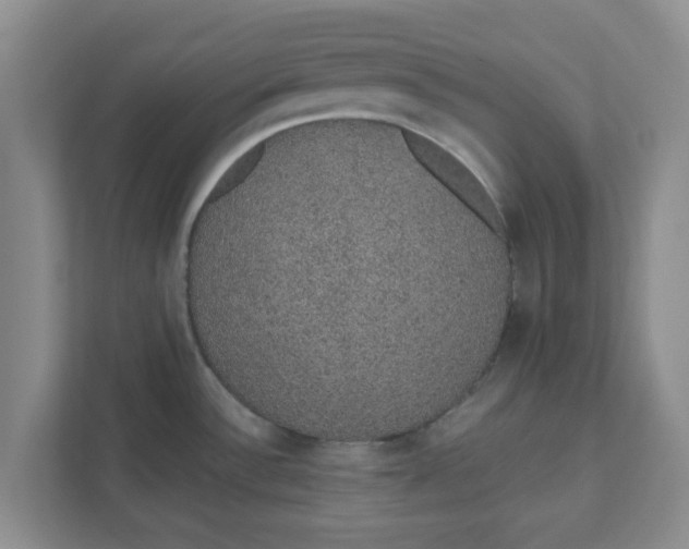 X0000111831532200908061145