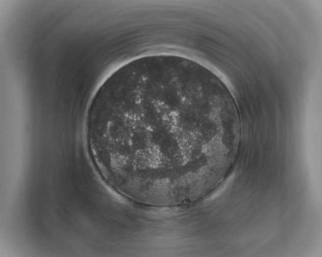 X0000111831533200908061145