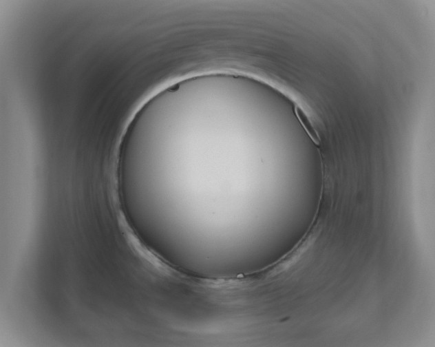 X0000111831534200908061145