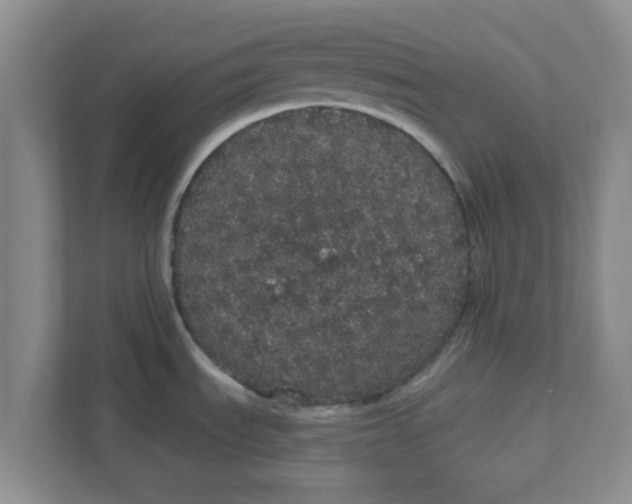 X0000111831535200908061145