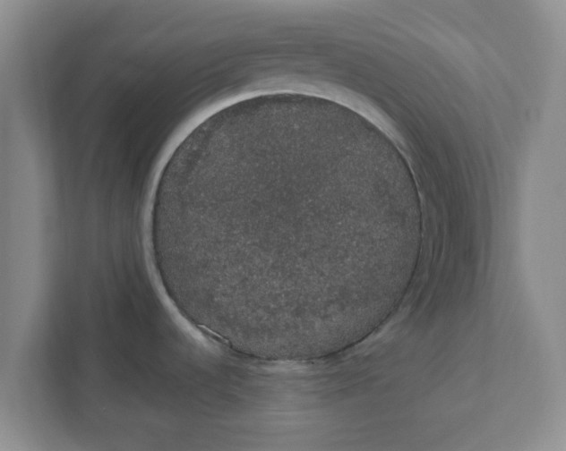 X0000111831536200908061145