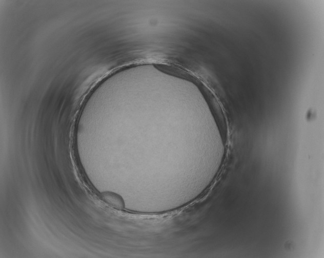 X0000111830001200908131558