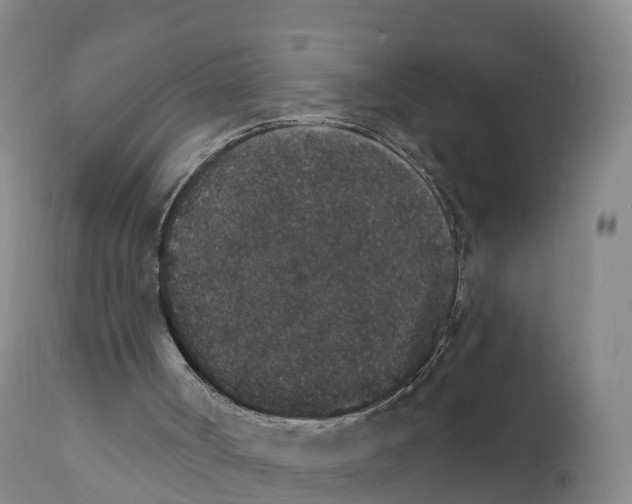 X0000111830002200908131558