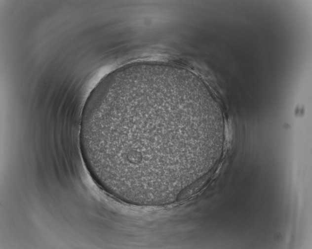 X0000111830003200908131557