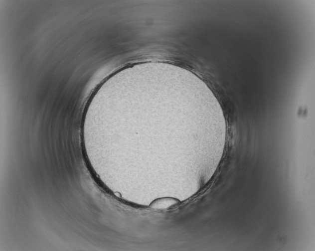 X0000111830004200908131557