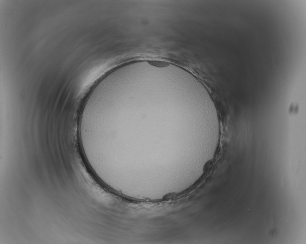 X0000111830005200908131557