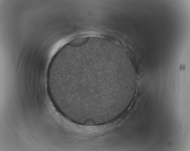 X0000111830006200908131557