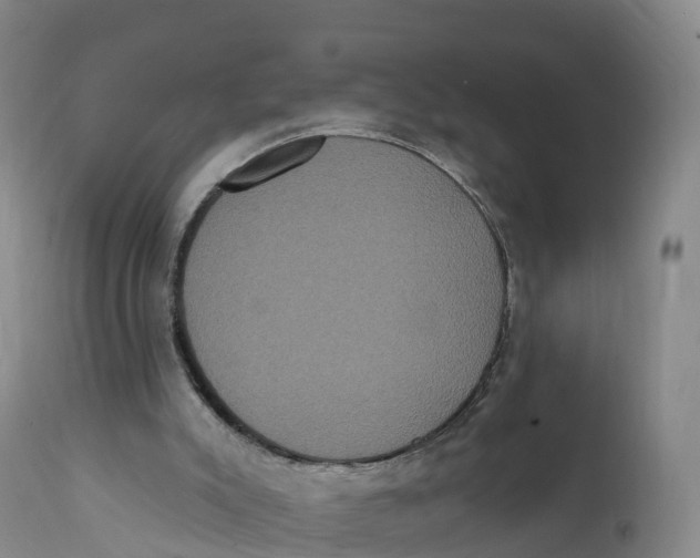 X0000111830007200908131557