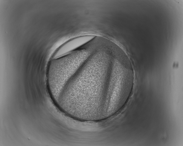 X0000111830008200908131557