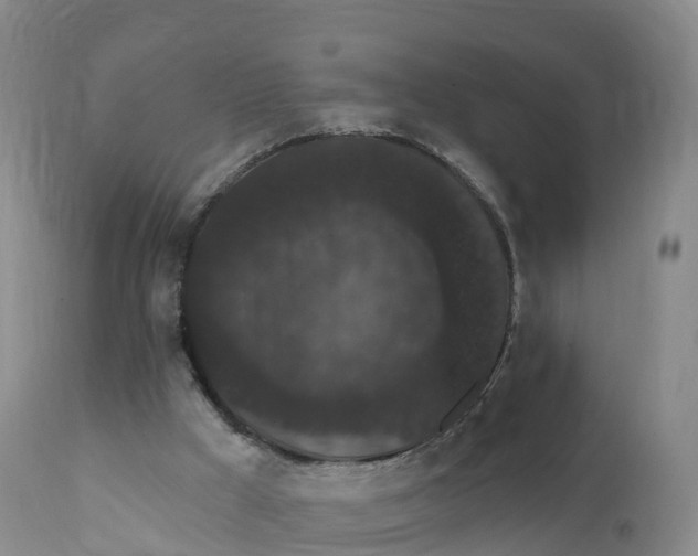 X0000111830009200908131557