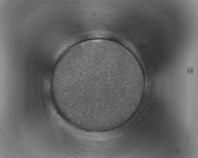 X0000111830010200908131557