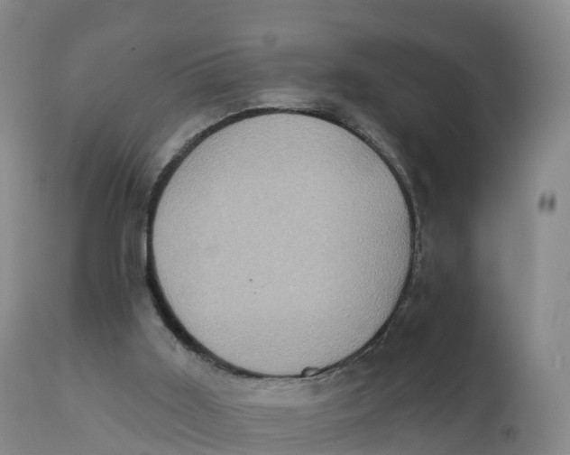 X0000111830011200908131557