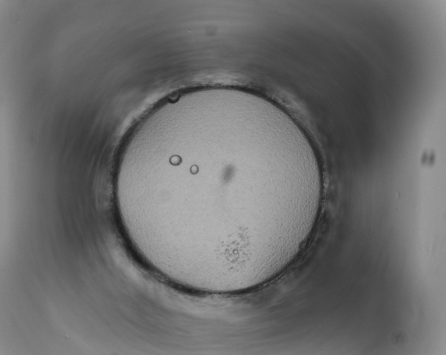 X0000111830012200908131557