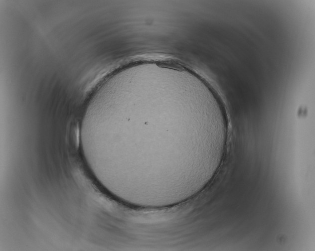 X0000111830013200908131557