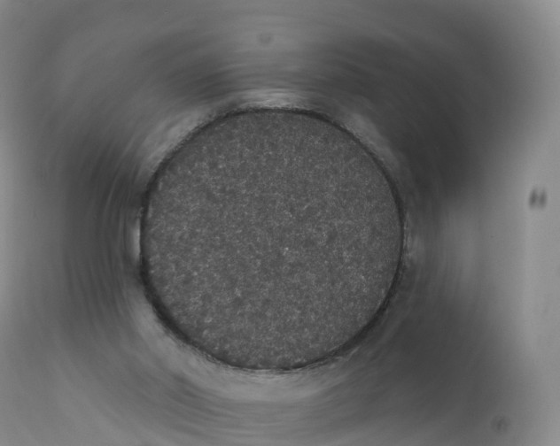 X0000111830014200908131557