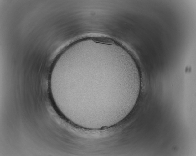 X0000111830015200908131557